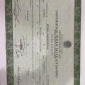 Ampliar imagem: certificate 3
