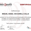 Ampliar imagem: certificate 22