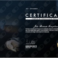Ampliar imagem: certificate 17