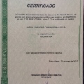 Ampliar imagem: certificate 3