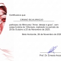 Ampliar imagem: certificate 6