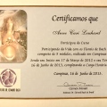 Ampliar imagem: certificate 6