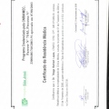 Ampliar imagem: certificate 2