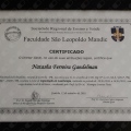 Ampliar imagem: certificate 5