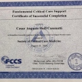 Ampliar imagem: certificate 3