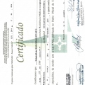 Ampliar imagem: certificate 4