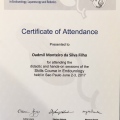 Ampliar imagem: certificate 7