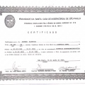 Ampliar imagem: certificate 1