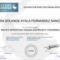 Ampliar imagem: certificate 18