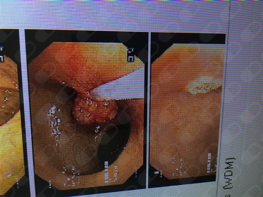Rodrigo Britto De Carvalho-7