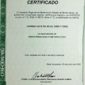 Ampliar imagem: certificate 10
