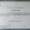 Ampliar imagem: certificate 9