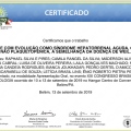Ampliar imagem: certificate 6