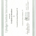 Ampliar imagem: certificate 13