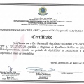 Ampliar imagem: certificate 4