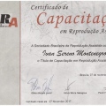 Ampliar imagem: certificate 3