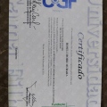 Ampliar imagem: certificate 3