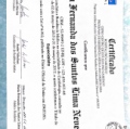 Ampliar imagem: certificate 2
