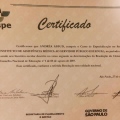 Ampliar imagem: certificate 3