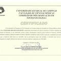 Ampliar imagem: certificate 4