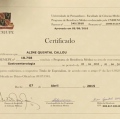 Ampliar imagem: certificate 3