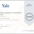 Ampliar imagem: certificate 4