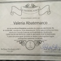 Ampliar imagem: certificate 26