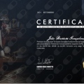 Ampliar imagem: certificate 8
