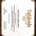 Ampliar imagem: certificate 9