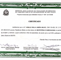 Ampliar imagem: certificate 3