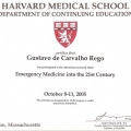 Ampliar imagem: certificate 2