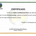 Ampliar imagem: certificate 3