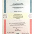 Ampliar imagem: certificate 4