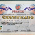 Ampliar imagem: certificate 10