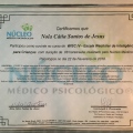 Ampliar imagem: certificate 13