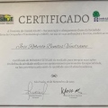 Ampliar imagem: certificate 17