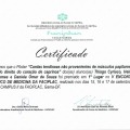 Ampliar imagem: certificate 7