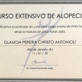 Ampliar imagem: certificate 3