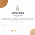Ampliar imagem: certificate 3