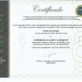 Ampliar imagem: certificate 6