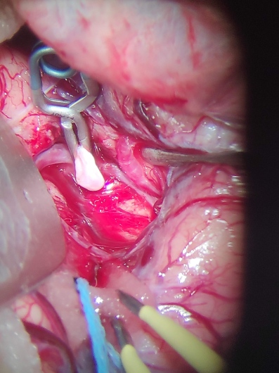 Fábio Teixeira Giovanetti Pontes-12