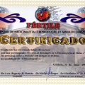 Ampliar imagem: certificate 7