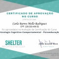Ampliar imagem: certificate 3