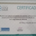 Ampliar imagem: certificate 7