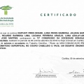 Ampliar imagem: certificate 3