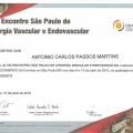 Ampliar imagem: certificate 25