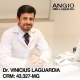Vinicius Laguardia de Moura