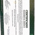 Ampliar imagem: certificate 13