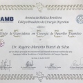 Ampliar imagem: certificate 9
