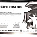 Ampliar imagem: certificate 9